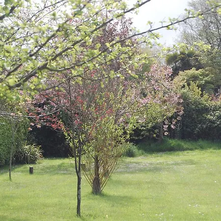Rockville 3* COUNTY WEXFORD